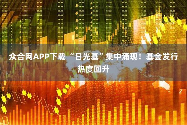 众合网APP下载 “日光基”集中涌现！基金发行热度回升